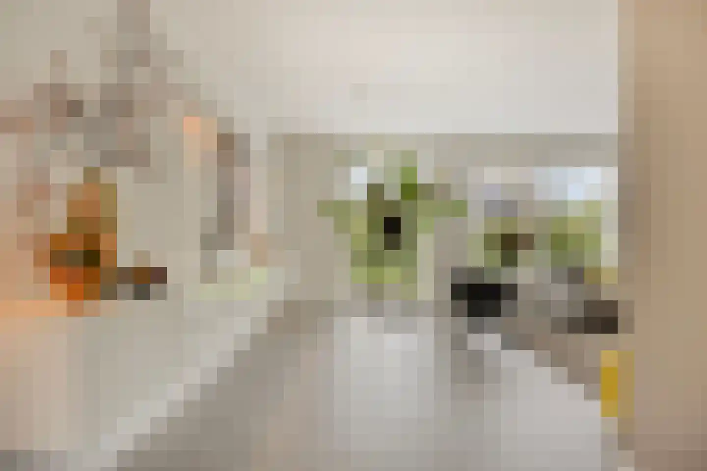 Piet Mondriaanstraat 25 Oosterhout thumbnail 5