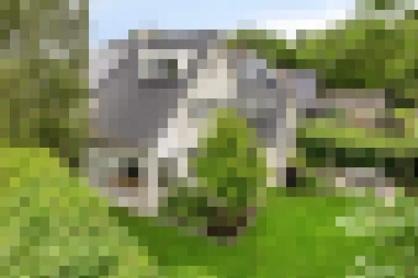 Piet Mondriaanstraat 25 Oosterhout thumbnail 51