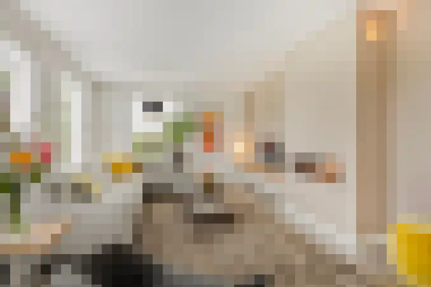 Piet Mondriaanstraat 25 Oosterhout thumbnail 6