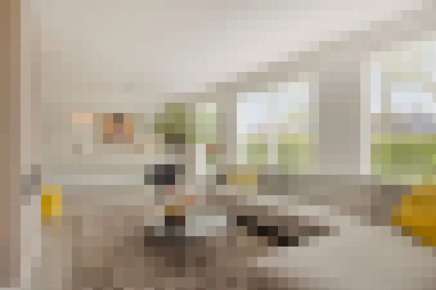 Piet Mondriaanstraat 25 Oosterhout thumbnail 7