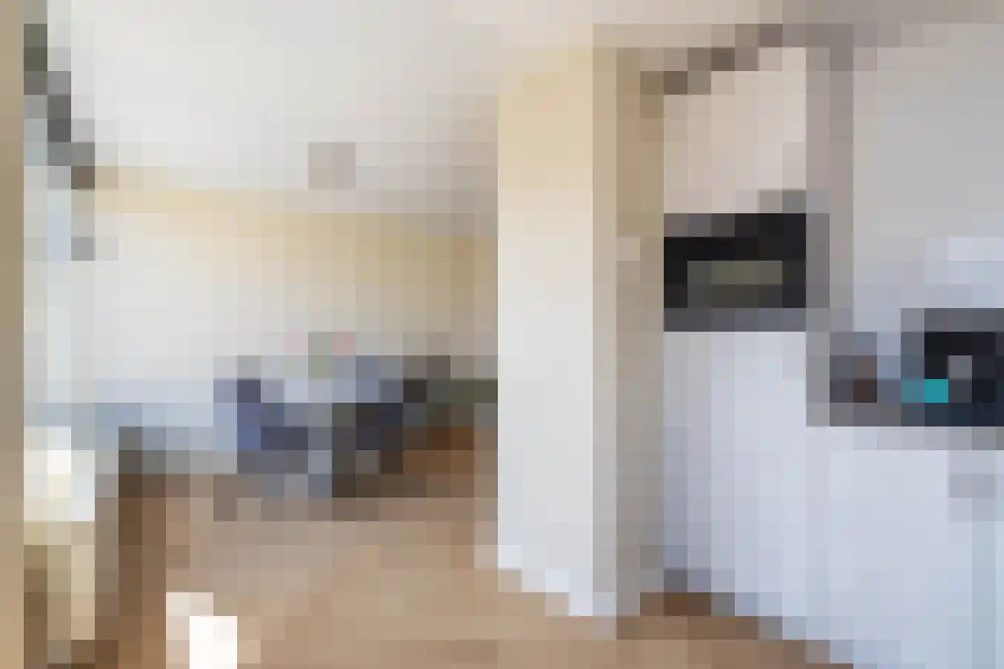 Piet Mondriaanstraat 5 Almelo thumbnail 12