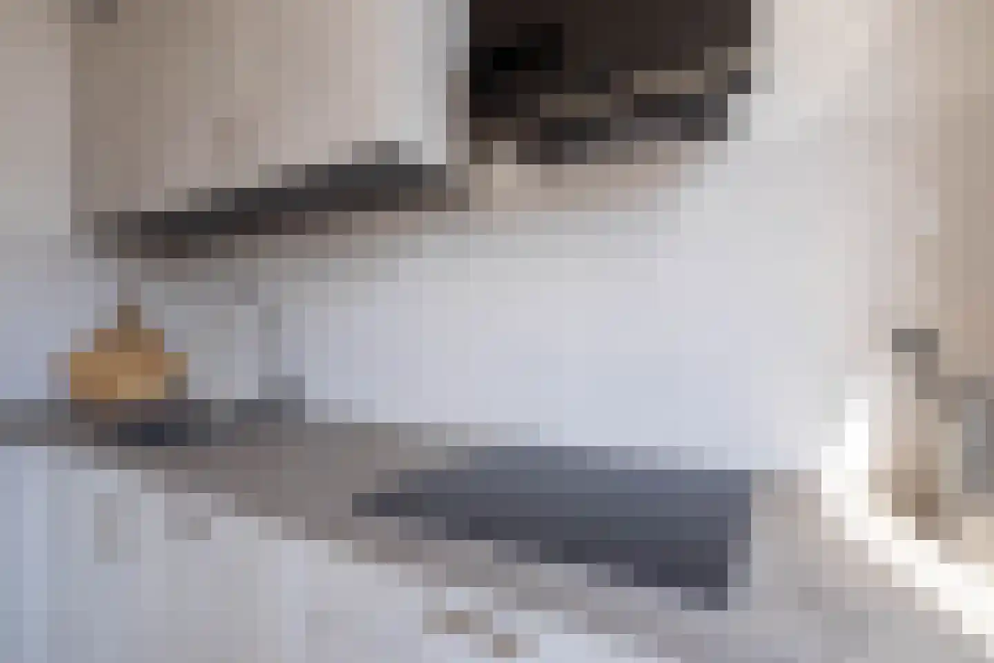 Piet Mondriaanstraat 5 Almelo thumbnail 14