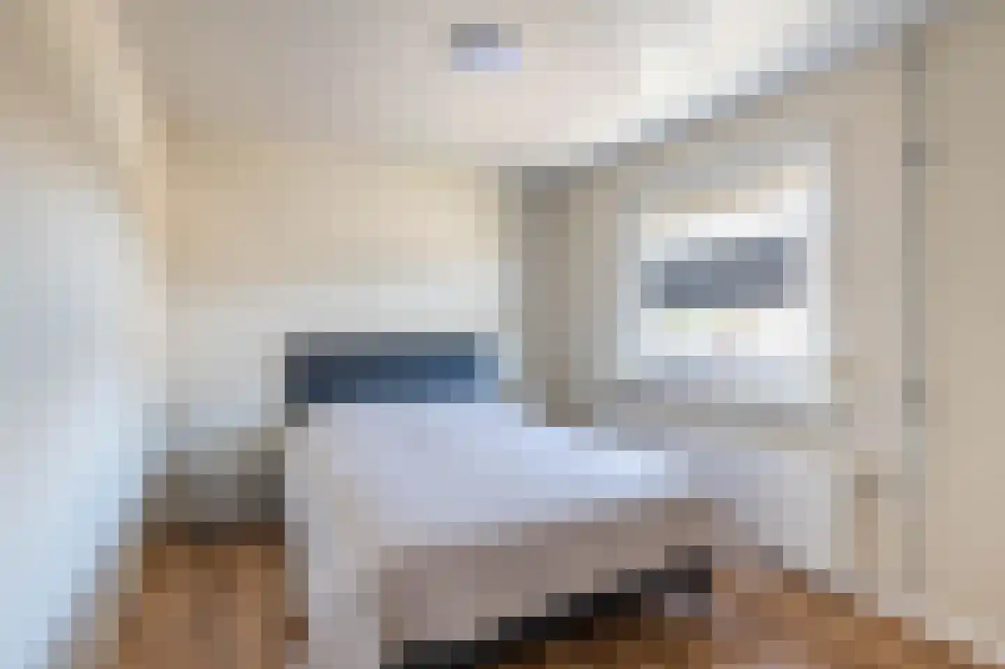 Piet Mondriaanstraat 5 Almelo thumbnail 17