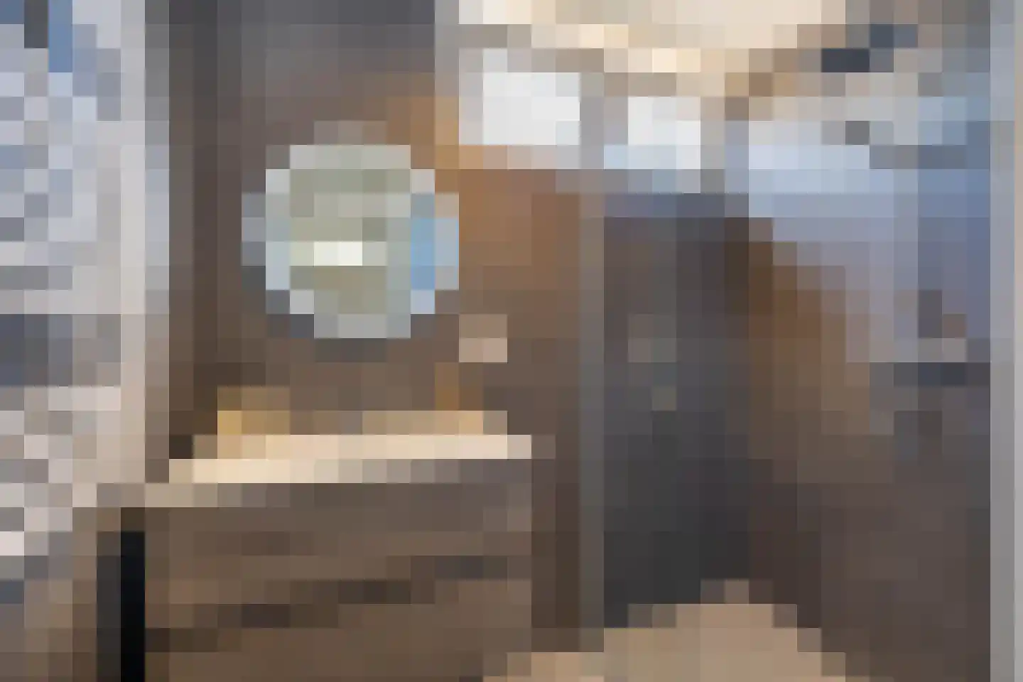 Piet Mondriaanstraat 5 Almelo thumbnail 5