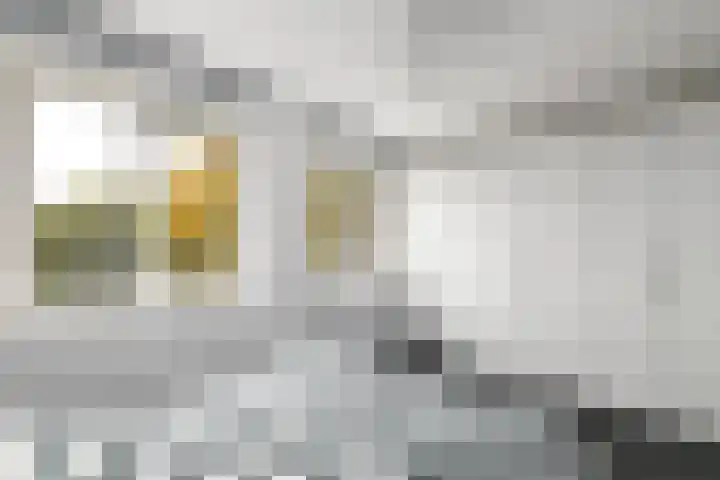 Piet Mondriaanstraat 5 Wolvega thumbnail 17