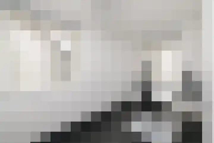 Piet Mondriaanstraat 5 Wolvega thumbnail 18