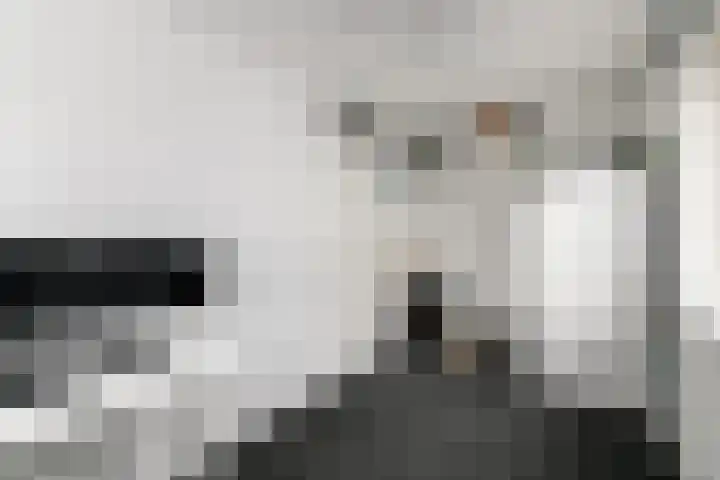 Piet Mondriaanstraat 5 Wolvega thumbnail 20