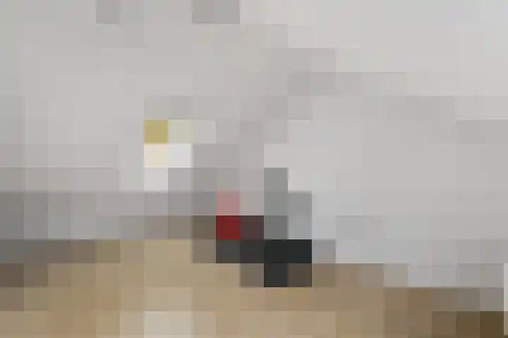 Piet Mondriaanstraat 5 Wolvega thumbnail 25