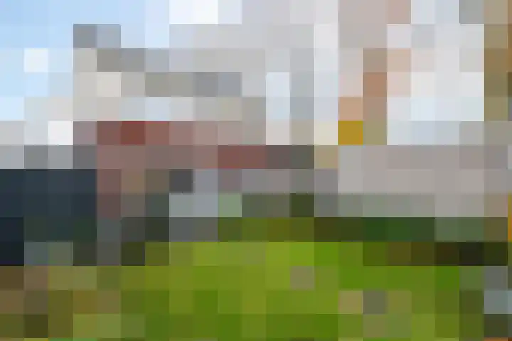 Piet Mondriaanstraat 5 Wolvega thumbnail 28