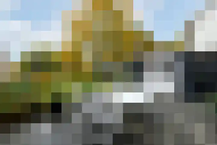 Piet Mondriaanstraat 5 Wolvega thumbnail 29