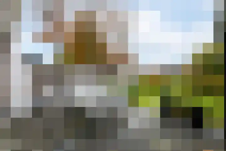 Piet Mondriaanstraat 5 Wolvega thumbnail 30
