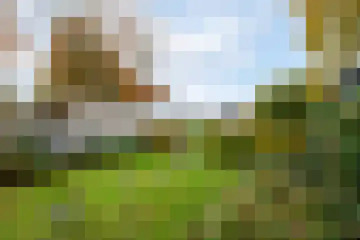 Piet Mondriaanstraat 5 Wolvega thumbnail 33