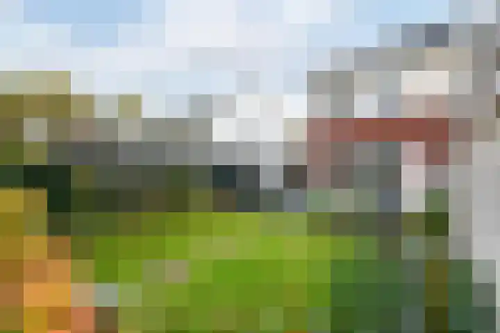 Piet Mondriaanstraat 5 Wolvega thumbnail 34