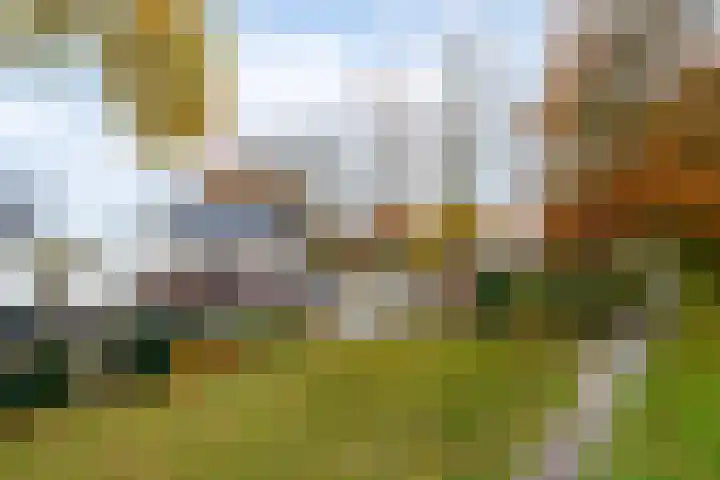 Piet Mondriaanstraat 5 Wolvega thumbnail 36