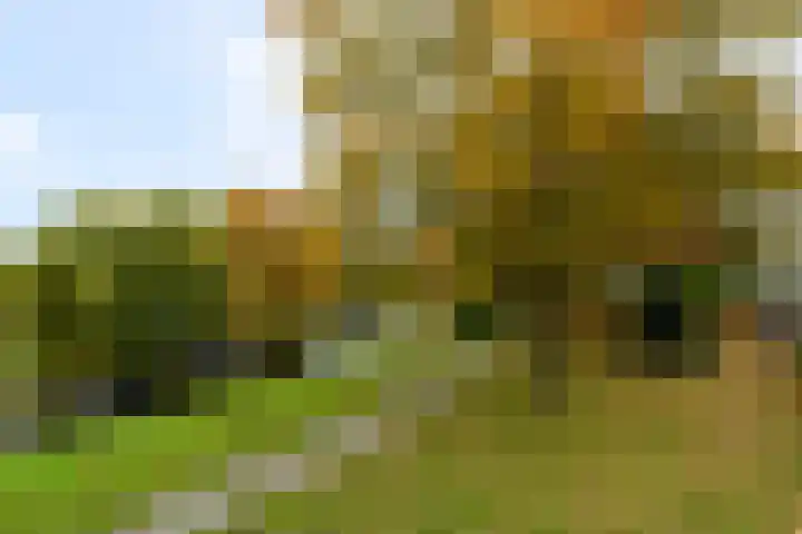 Piet Mondriaanstraat 5 Wolvega thumbnail 37