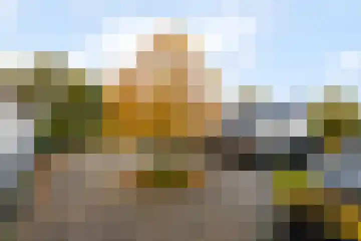 Piet Mondriaanstraat 5 Wolvega thumbnail 39