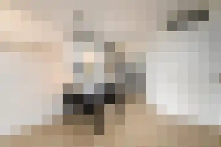 Piet Mondriaanstraat 5 Wolvega thumbnail 6