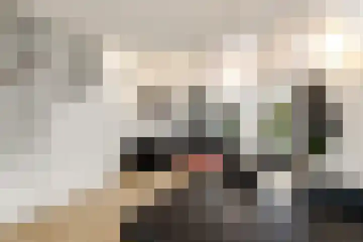 Piet Mondriaanstraat 5 Wolvega thumbnail 7