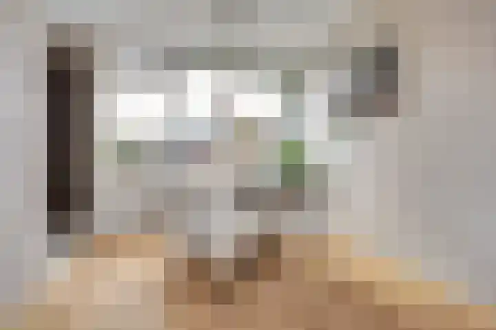 Piet Mondriaanstraat 7 Almelo thumbnail 13