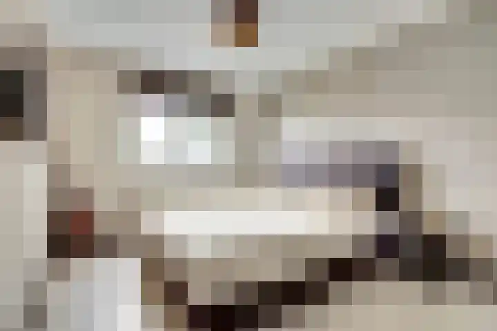 Piet Mondriaanstraat 7 Almelo thumbnail 21