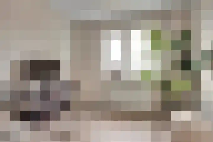 Piet Mondriaanstraat 7 Almelo thumbnail 23