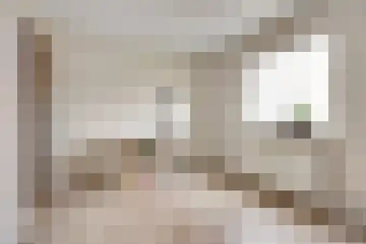 Piet Mondriaanstraat 7 Almelo thumbnail 25