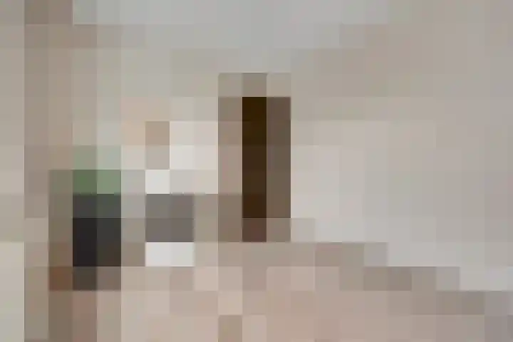 Piet Mondriaanstraat 7 Almelo thumbnail 26
