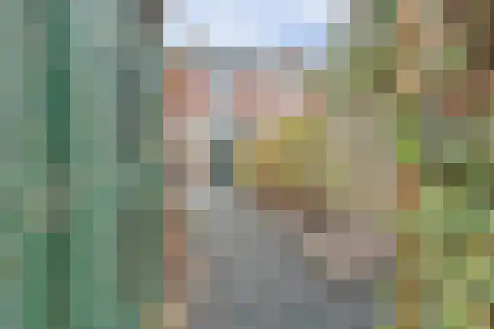 Piet Mondriaanstraat 7 Almelo thumbnail 34