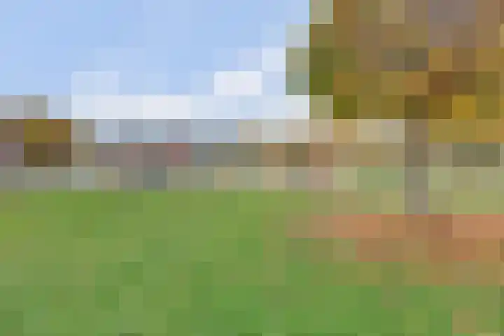 Piet Mondriaanstraat 7 Almelo thumbnail 35