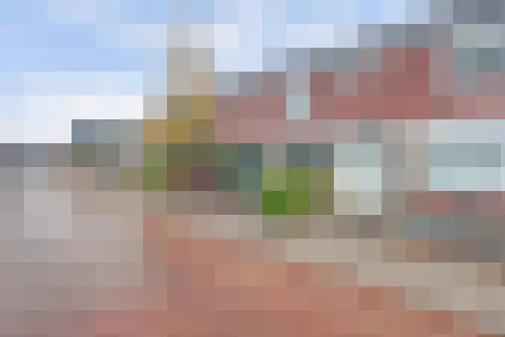 Piet Mondriaanstraat 7 Almelo thumbnail 36