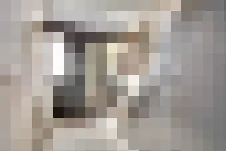 Piet Mondriaanstraat 7 Almelo thumbnail 4