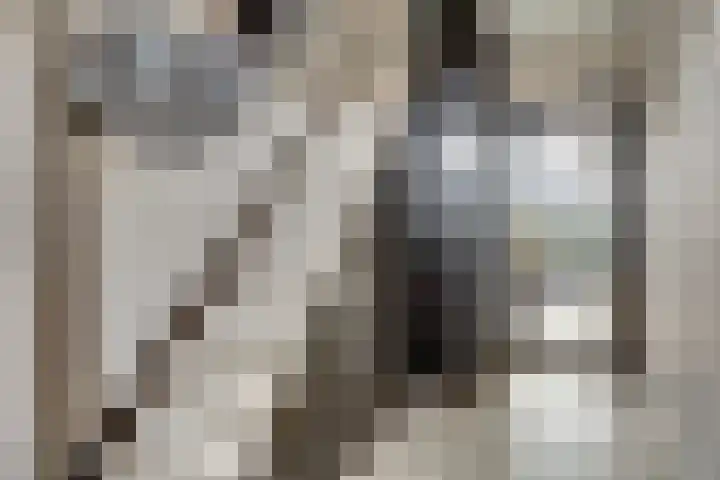 Piet Mondriaanstraat 7 Almelo thumbnail 5