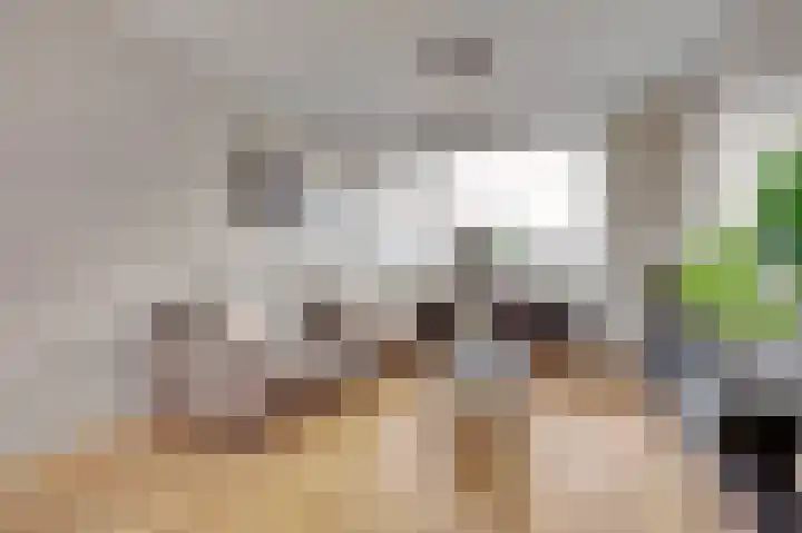 Piet Mondriaanstraat 7 Almelo thumbnail 7