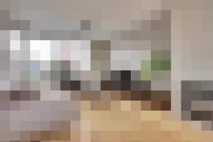 Piet Mondriaanstraat 7 Almelo thumbnail 8