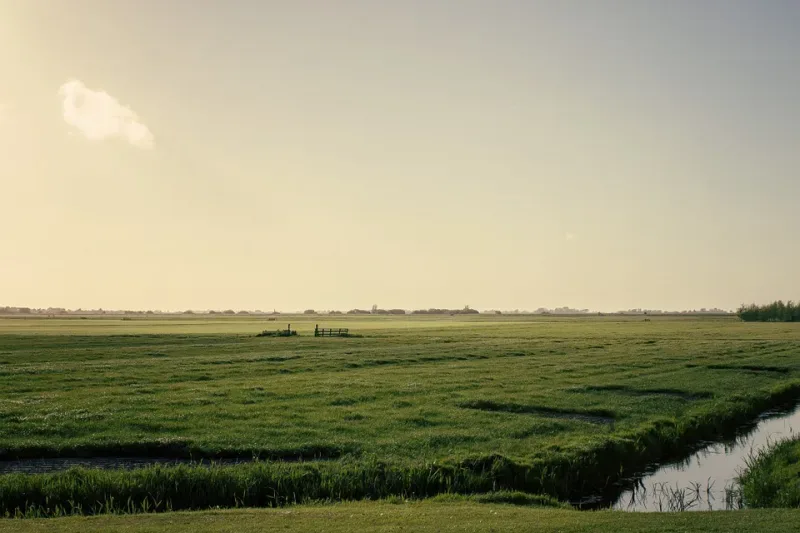 Kantoor foto van Piet Mulder makelaardij