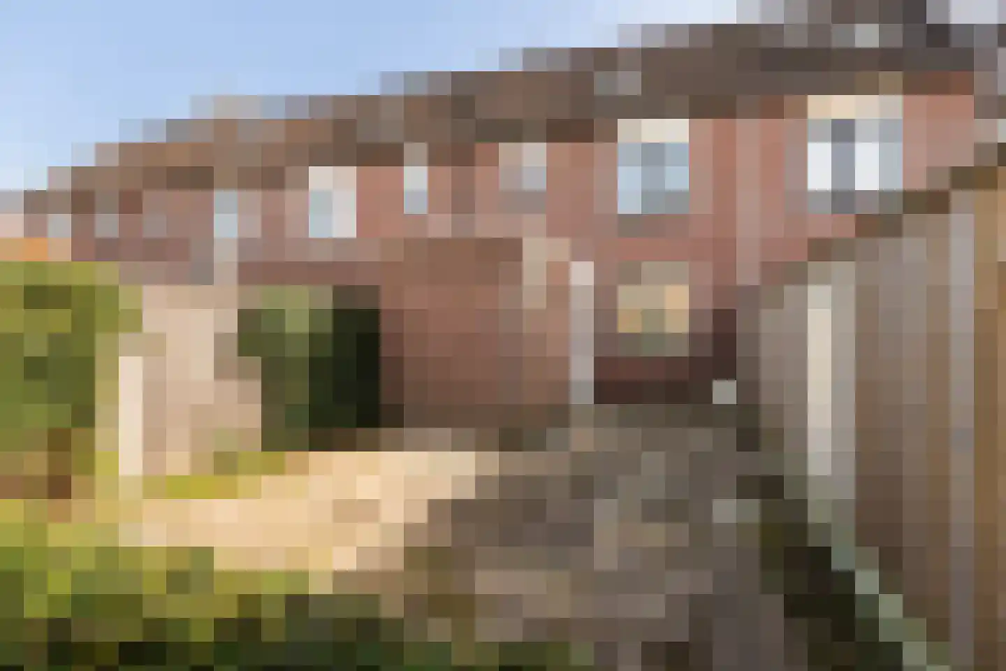 Piet Muyselaarstraat 44 Hengelo thumbnail 22