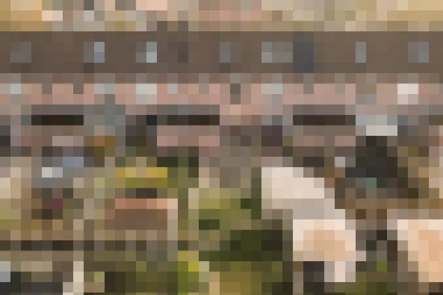 Piet Muyselaarstraat 44 Hengelo thumbnail 31