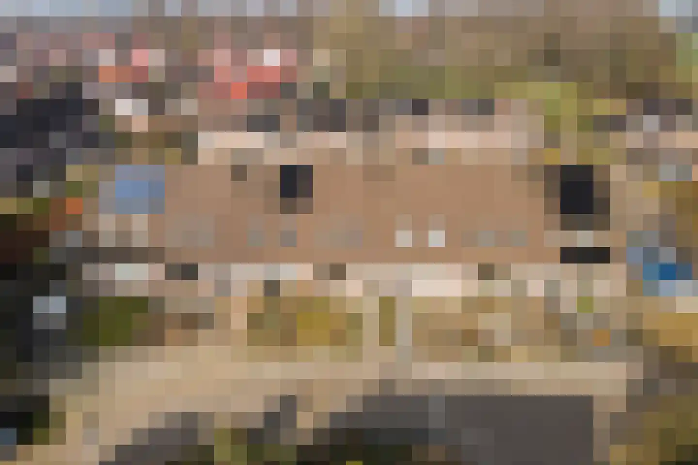 Piet Muyselaarstraat 44 Hengelo thumbnail 34