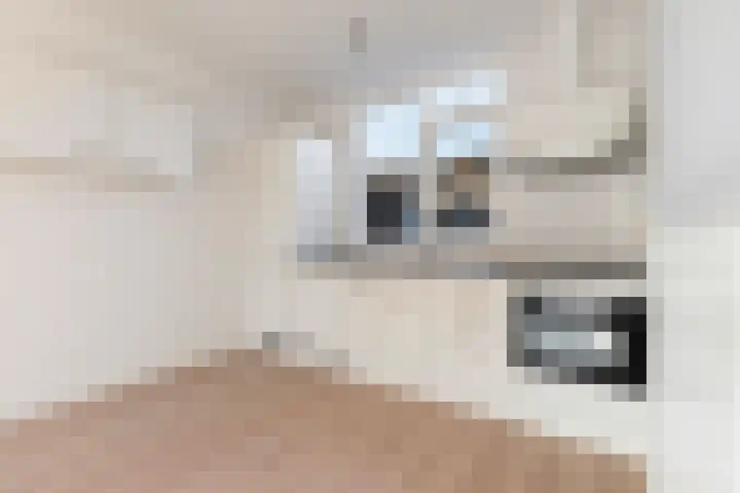 Piet Muyselaarstraat 44 Hengelo thumbnail 6