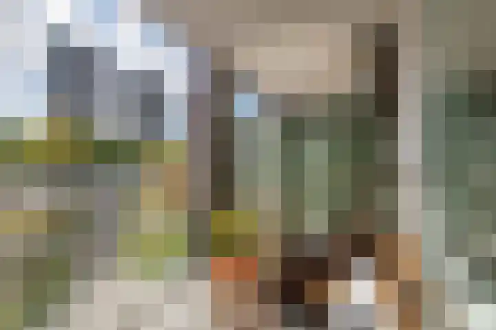 Piet Paaltjensplein 25 Rotterdam thumbnail 5