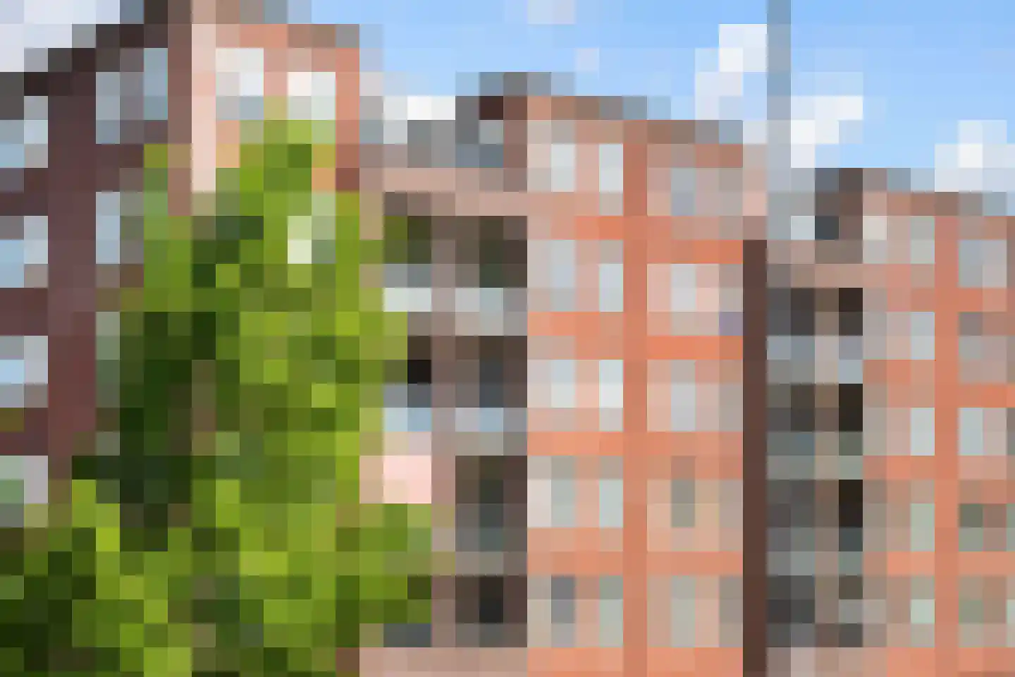 Piet Paaltjensplein 37 Rotterdam thumbnail 6