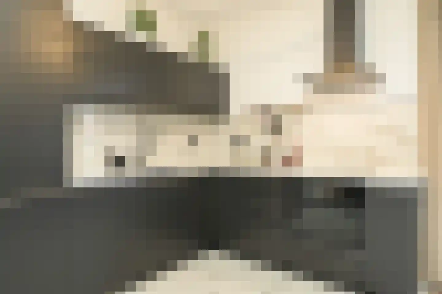 Piet Paaltjensstraat 41 Den Haag thumbnail 4