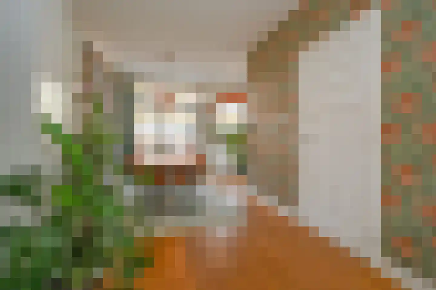 Piet Paaltjensstraat 42 Den Haag thumbnail 5