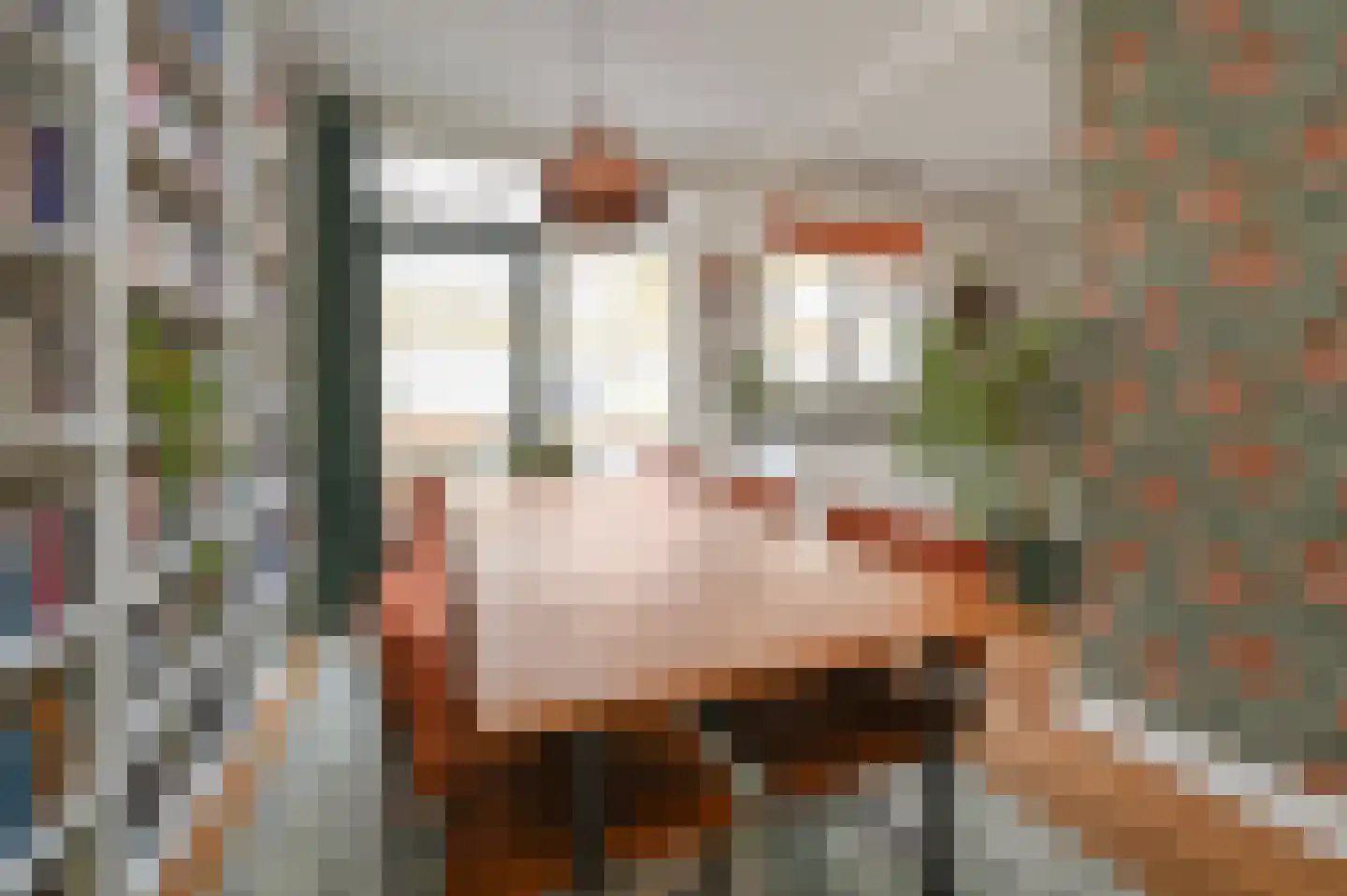 Piet Paaltjensstraat 42 Den Haag thumbnail 7