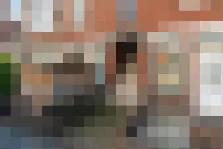 Piet Paaltjensstraat 59 Den Haag thumbnail 15