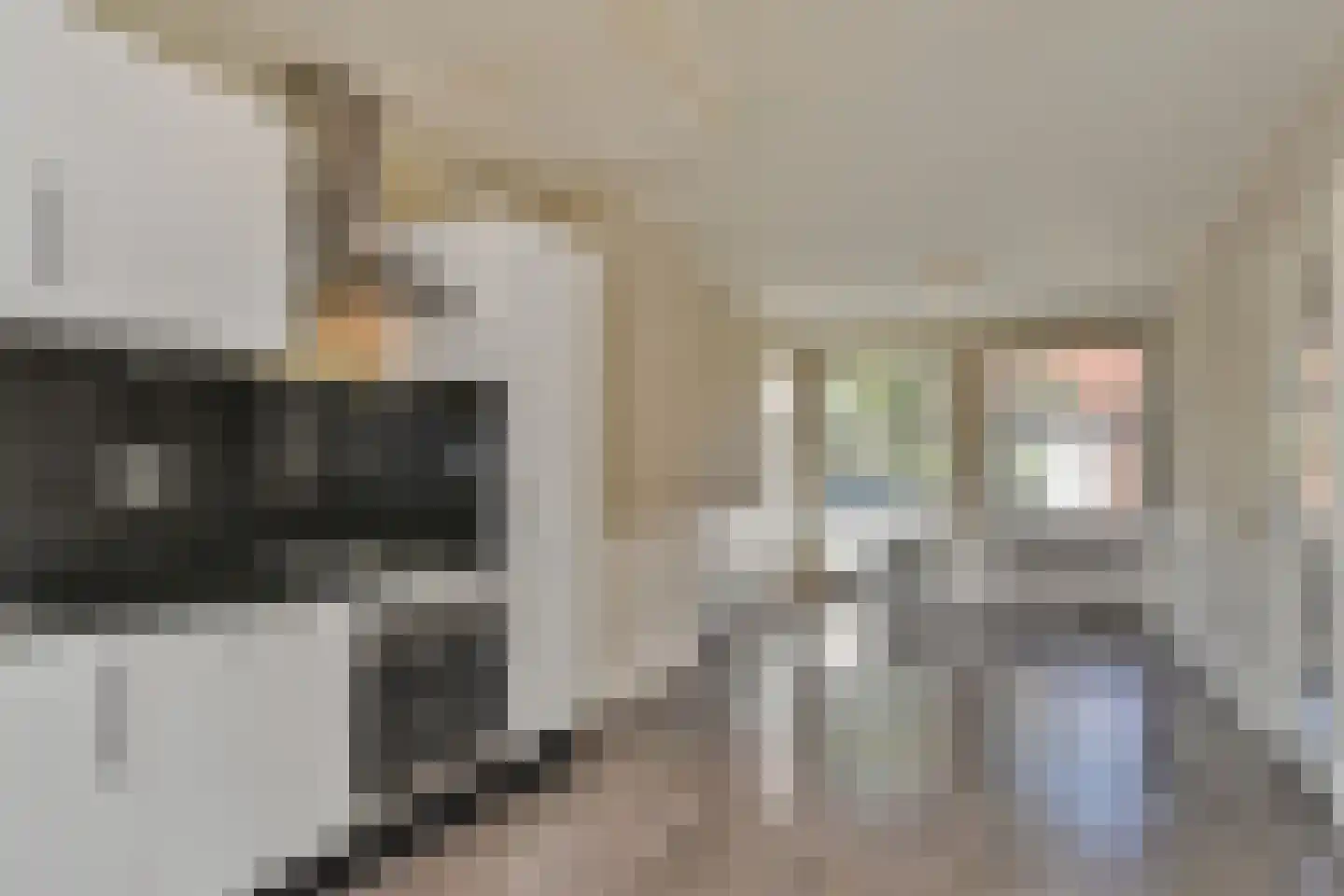 Piet Paaltjensstraat 72 Den Haag thumbnail 10