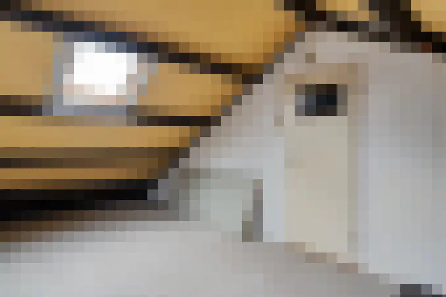 Piet Paaltjensstraat 8 Hengelo thumbnail 37