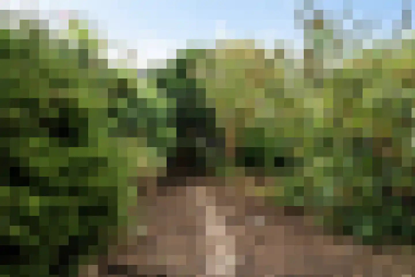 Piet Paaltjensstraat 8 Hengelo thumbnail 4