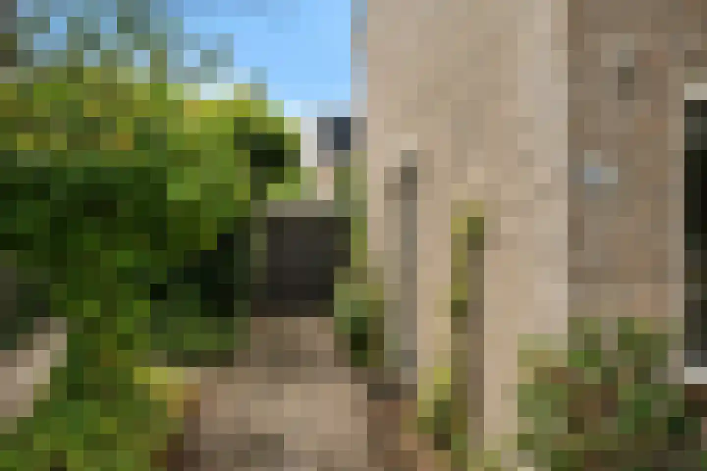 Piet Paaltjensstraat 8 Hengelo thumbnail 7
