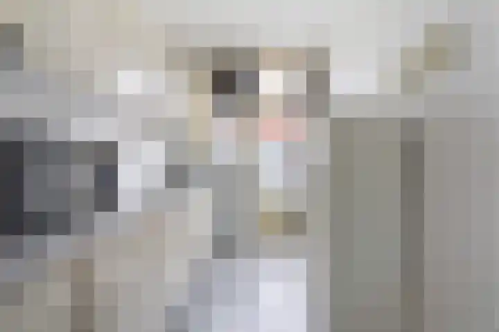 Piet Paaltjensstraat 9 Den Haag thumbnail 11
